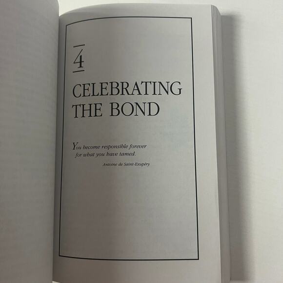 Chicken Soup For The Pet Lovers Soul - Picture 2 of 5